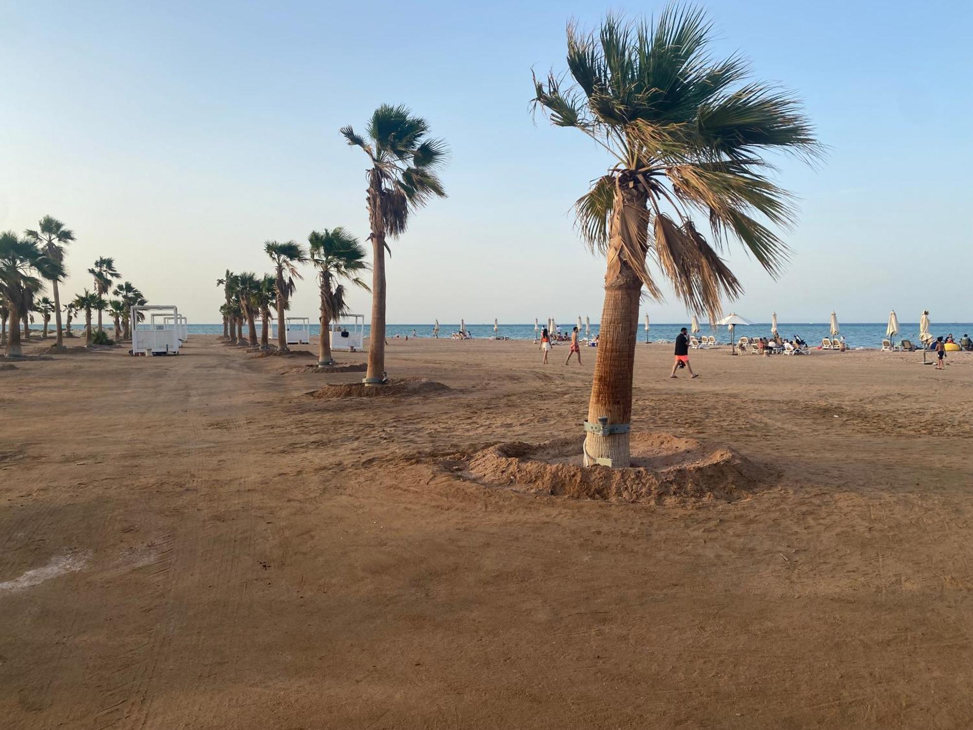 Mangroovy Retreat Apartament Hurghada